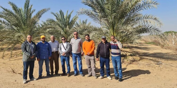 المعمل المركزي للنخيل .. الزراعة تعلن حصاد أنشطته خلال ديسمبر 1 المعمل المركزي للنخيل