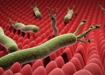 الميكروب القولوني