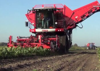 استصلاح الأراضي