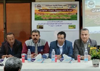 دودة الحشد الخريفية