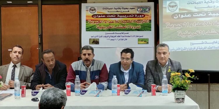 دودة الحشد الخريفية
