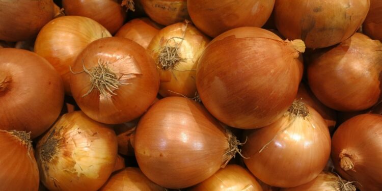 تسميد البصل.. توقيتات التنفيذ والكميات المُوصى بها وفوائد "تقنية النانو" 1 تسميد البصل