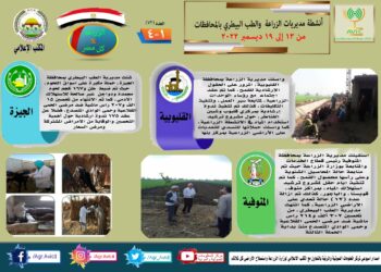 مركز المعلومات الصوتية