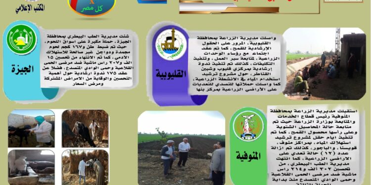 مركز المعلومات الصوتية يصدر النشرة الـ 72 عن أنشطة المديريات 1 مركز المعلومات الصوتية