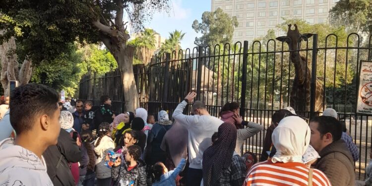 الزراعة: حديقة الحيوان مستمرة في استقبال الزائرين يوميا 1 حديقة الحيوان