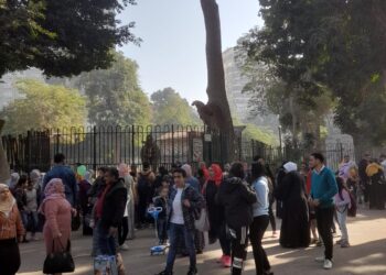 حديقة الحيوان تستقبل أكثر من 30 ألف زائر من المواطنين ورحلات المدارس والجامعات