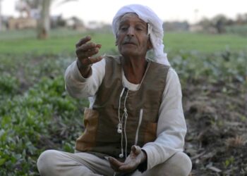 كارت الفلاح