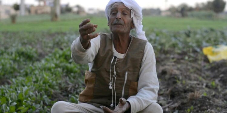 كارت الفلاح