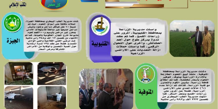 مركز المعلومات الصوتية يصدر نشرته الـ73 عن أنشطة المديريات 1 مركز المعلومات الصوتية