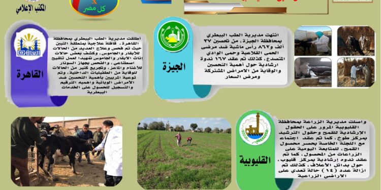 مركز المعلومات الصوتية يصدر النشرة الـ71 عن أنشطة وجهود مديريات الزراعة والطب البيطري 1 مركز المعلومات الصوتية
