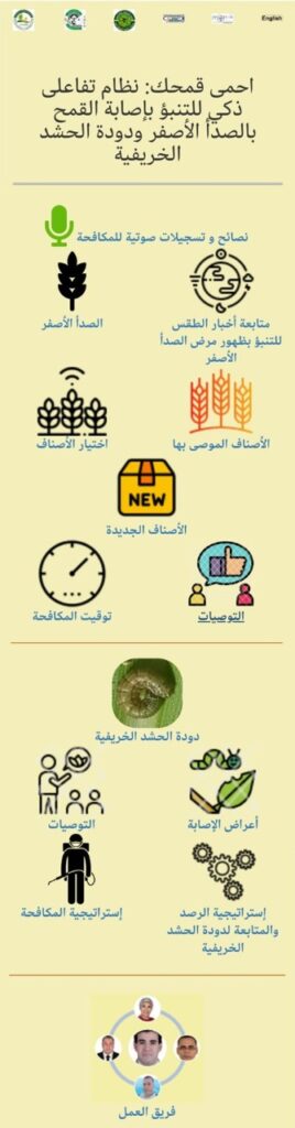احمي قمحك .. تطبيق رقمي للتنبؤ بإصابة القمح بالصدأ الأصفر ودودة الحشد الخريفية 12 احمي قمحك