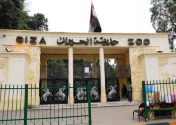 حديقتي الحيوان والأورمان