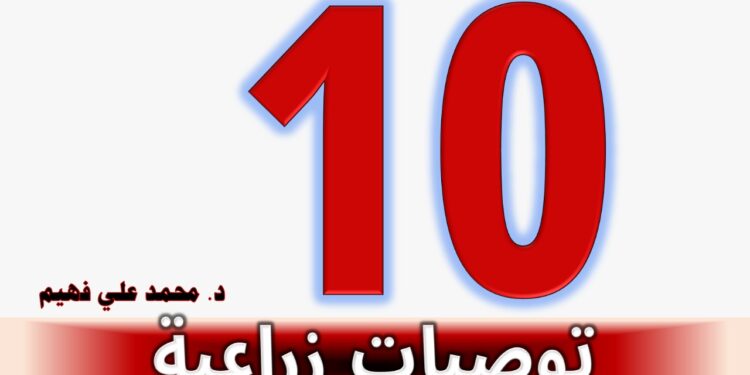 "د. محمد فهيم يكتب "الوصايا الزراعية الـ 10" 1 الوصايا الزراعية