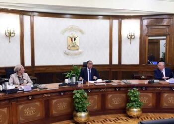 الذرة الصفراء