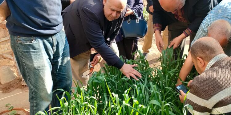 معهد أمراض النباتات .. تفاصيل أنشطته خلال ديسمبر 2022 1 معهد أمراض النباتات