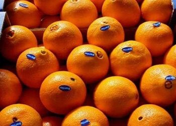 الحجر الزراعي