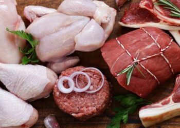 البكتيريا الضارة