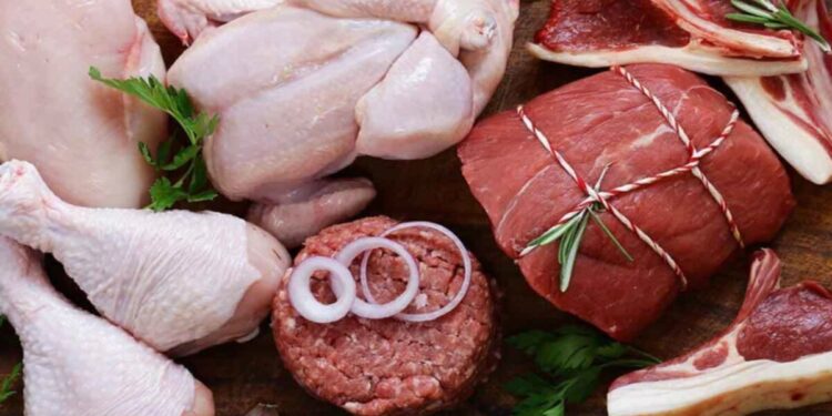 البكتيريا الضارة.. "الوصايا العشر" وقواعد التعامل مع اللحوم النيئة ومنتجات الدواجن 1 البكتيريا الضارة