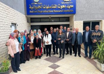 التناسليات الحيوانية