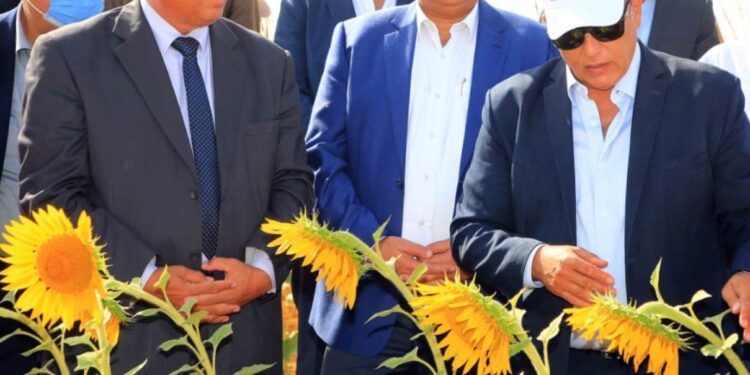 "الريف المصري الجديد" تطلق مبادرة لتشجيع زراعة المحاصيل الاستراتيجية بأراضى الـ١.٥ مليون فدان 1 الريف المصري الجديد