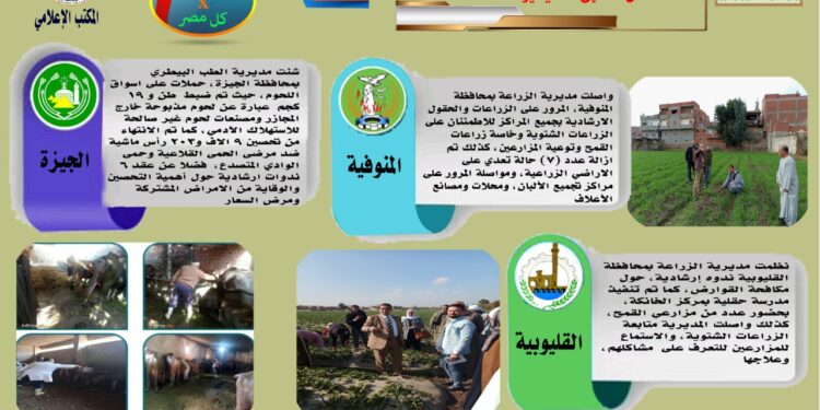 "الزراعة في كل مصر".. نشرة بأنشطة وجهود مديريات الزراعة والطب البيطري 1 الزراعة في كل مصر