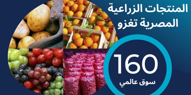 الصادرات الزراعية .. القصير: لأول مرة في تاريخها تسجل 6.5 مليون طن 1 الصادرات الزراعية