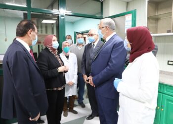 العفن البني