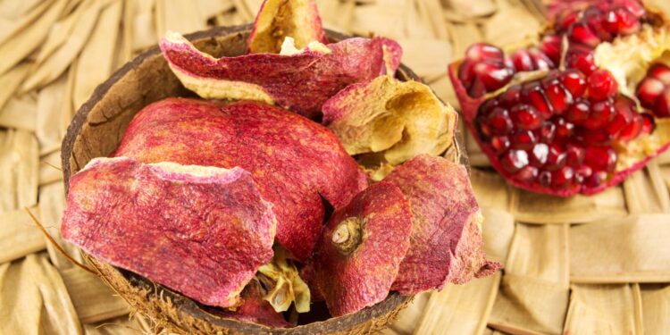 استخدام المخلفات النباتية في صناعة العقاقير الطبية 1 المخلفات النباتية