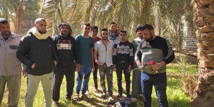 المعمل المركزي للنخيل يستعرض جهوده خلال الأسبوع الأول من يناير 1 المعمل المركزي للنخيل