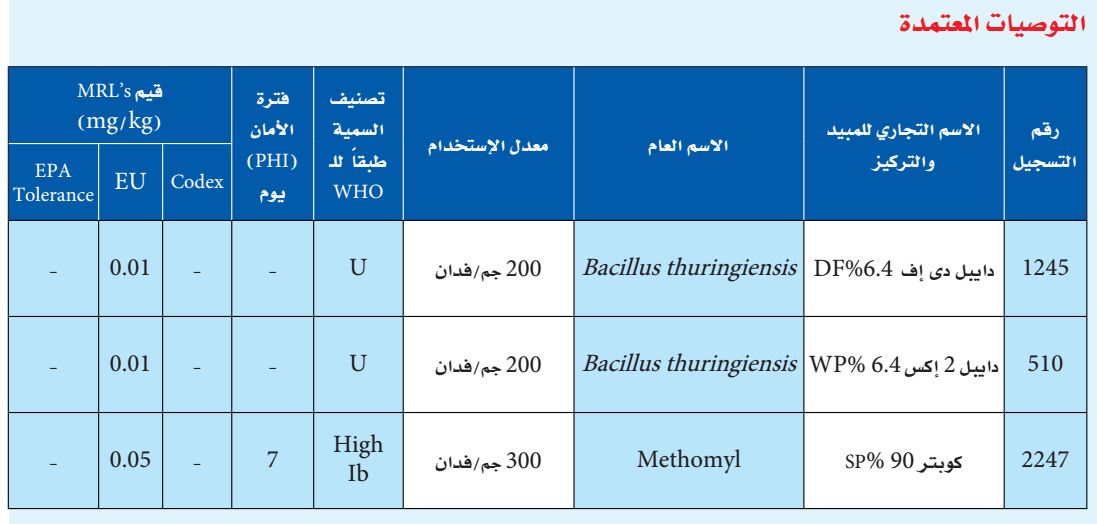 مكافحة دودة ورق القطن في البرسيم