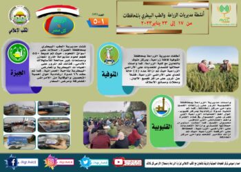 مركز المعلومات الصوتية