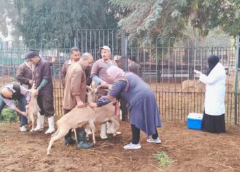 حديقة الحيوان