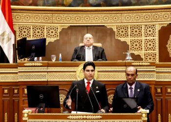 مجلس الشيوخ..أبو هشيمة: هناك فارق كبير بين الاقتصاد غير الرسمي واقتصاد الجريمة