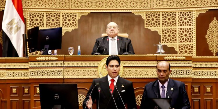 مجلس الشيوخ..أبو هشيمة: هناك فارق كبير بين الاقتصاد غير الرسمي واقتصاد الجريمة