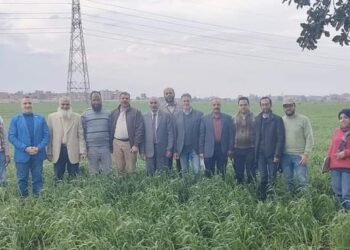 محطة بحوث سخا