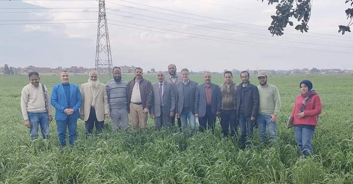 محطة بحوث سخا تستقبل رئيس قسم بحوث القمح 1 محطة بحوث سخا