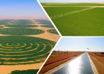 مشروع توشكى