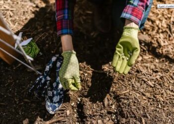 معمل المايكروبيولوجي