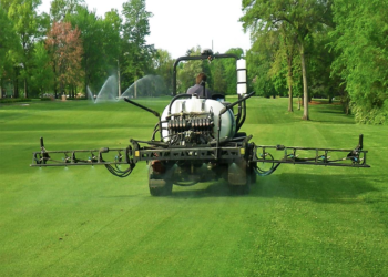 المسطحات الخضراء