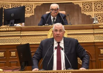 القصير لمجلس الشيوخ: مصر حققت إكتفاءاً ذاتياً لـ 9 مجموعات محصولية