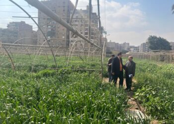 “الزراعة” تواصل تفقد اصولها في الجيزه والوقوف علي معدلات الاداء للعاملين بها 