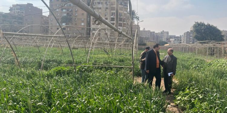 “الزراعة” تواصل تفقد اصولها في الجيزه والوقوف علي معدلات الاداء للعاملين بها 