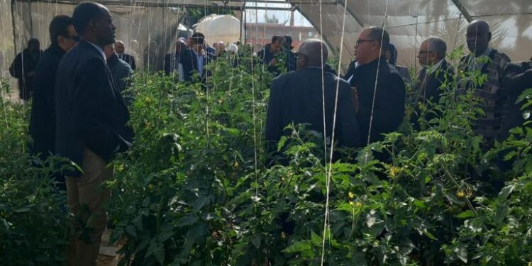 وفد كليات الزراعة العرب يتفقدون الأنشطة البحثية لمركز بحوث الصحراء بجنوب سيناء 1 بحوث الصحراء
