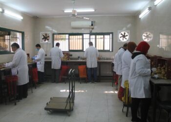 العفن البني