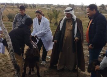 بحوث الصحراء