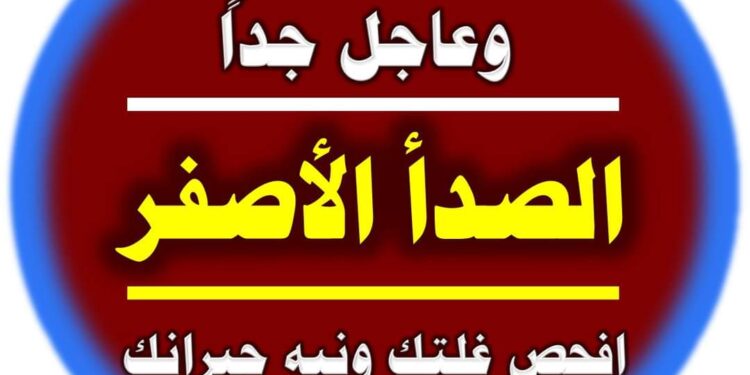 القمح.. توصيات عاجلة لمواجهة ظهور الصدأ الأصفر 1 القمح