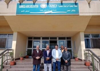 البحوث الزراعية