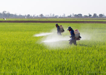 الإفراط في استخدام المبيدات الزراعية