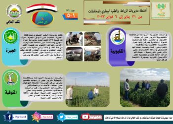 مركز المعلومات الصوتية يصدر النشرة الـ79 عن أنشطة المديريات