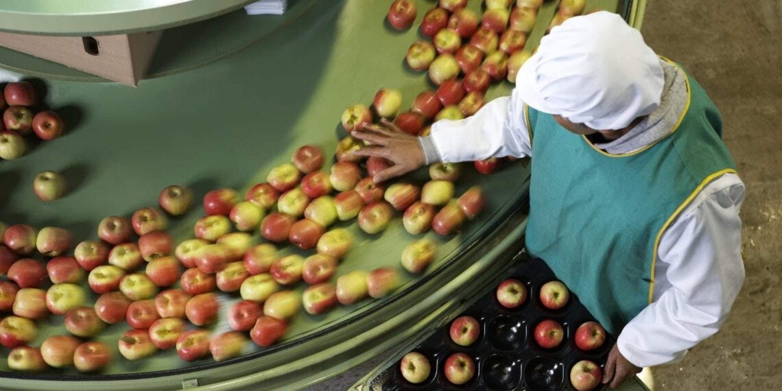 الحجر الزراعي